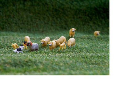 Sheep Set